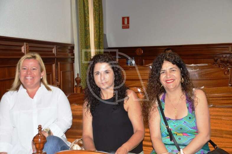 Miembros de la Asociación de Comerciantes de la ZCA de Los Llanos, en el Pleno del pasado lunes (Foto TA)